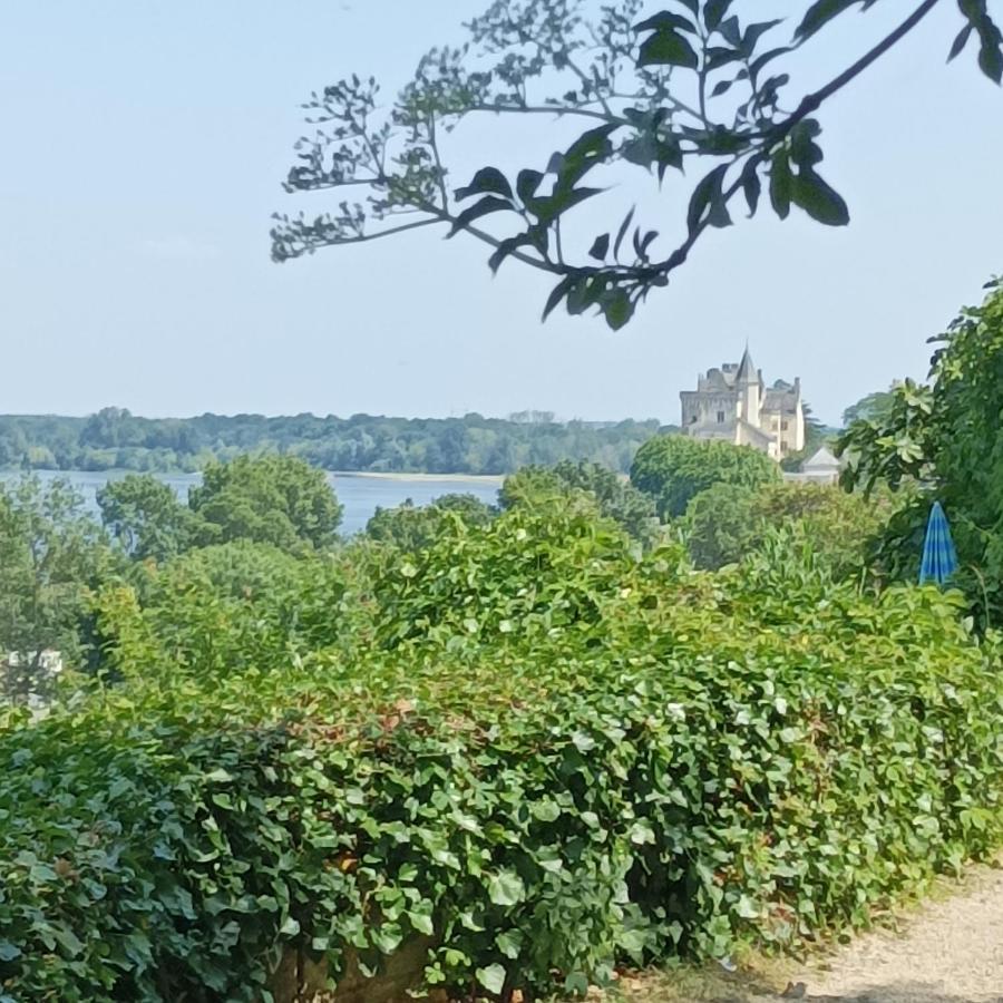 Gite Des Perreyeurs - Maison Troglodyte Avec Vue Sur Loire Montsoreau Extérieur photo