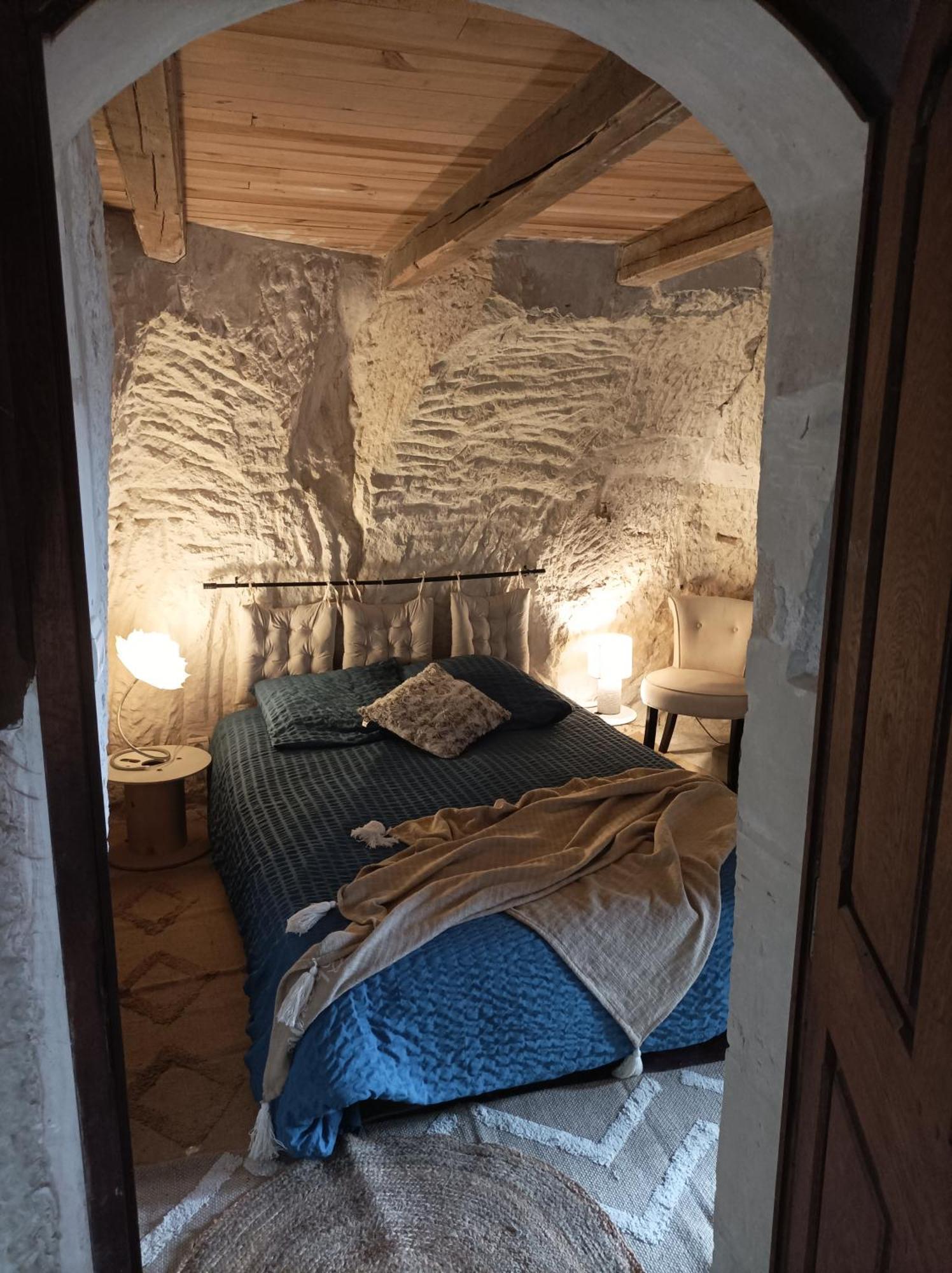 Gite Des Perreyeurs - Maison Troglodyte Avec Vue Sur Loire Montsoreau Extérieur photo