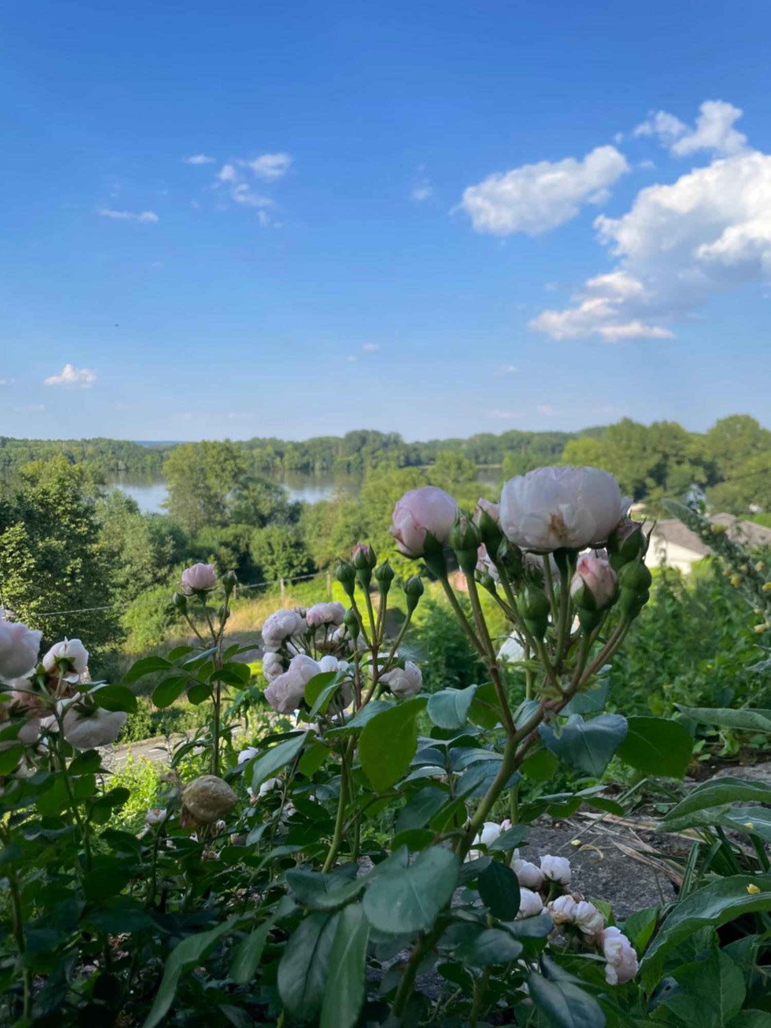 Gite Des Perreyeurs - Maison Troglodyte Avec Vue Sur Loire Montsoreau Extérieur photo